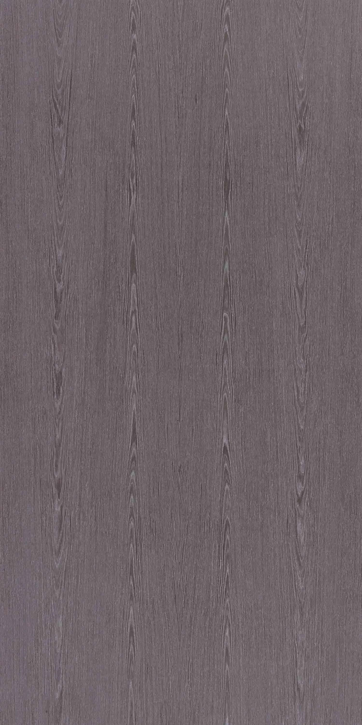 Century Ply Steel Grey Crown F877