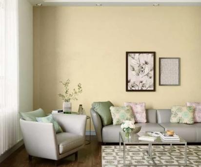 Asian Paints Apcolite Premium Emulsion by AsianPaints 8 6