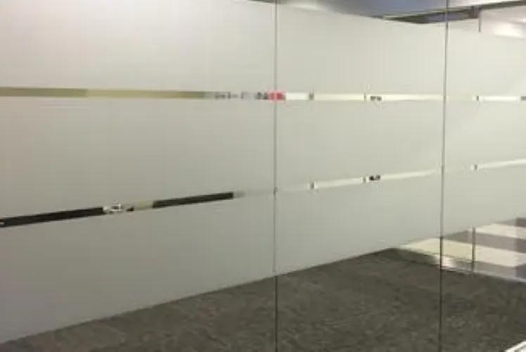 Neelkamal Tuff Frosted Glass 2