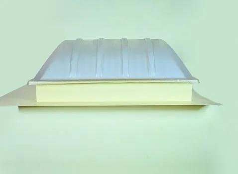 Lijan Greentech Lilly Bright Solar Skylight 1
