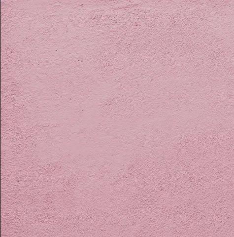 Vasari Stucco Wall Plaster 4