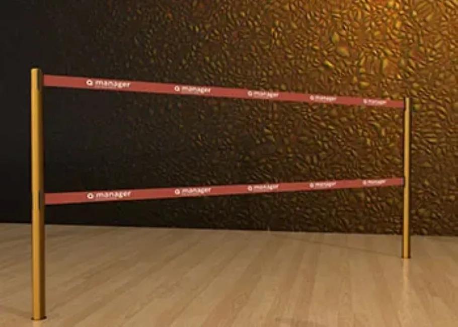 Q-Manager Double Belt Post - Floor Socket