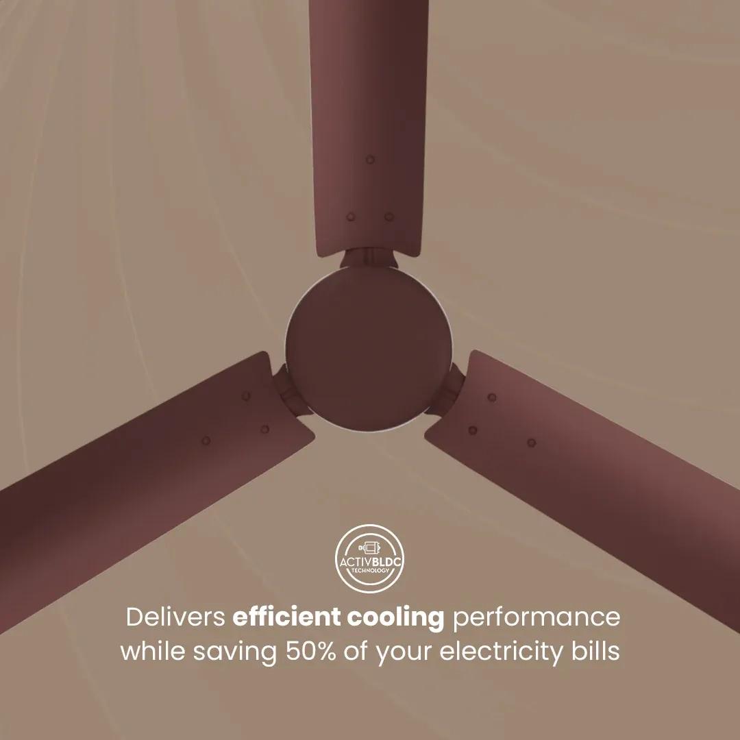 Crompton Energion Hyperjet BLDC Ceiling Fan - Brown 3
