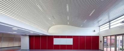 Aura Synergy Linear System