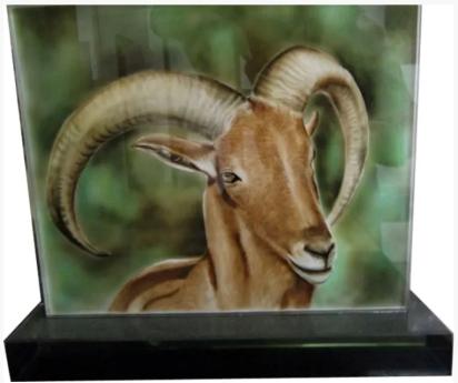 Art-n-Glass Air Brushing Glass by Art N Glass