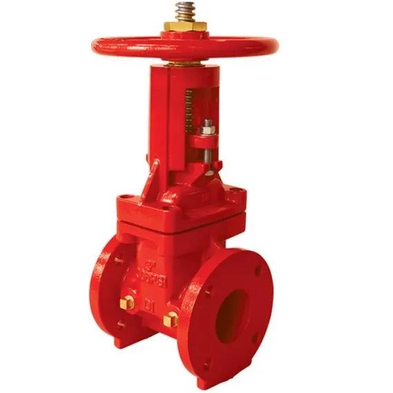 Newage Gate Valve 300 PSI – OS And Y Type Flanged End