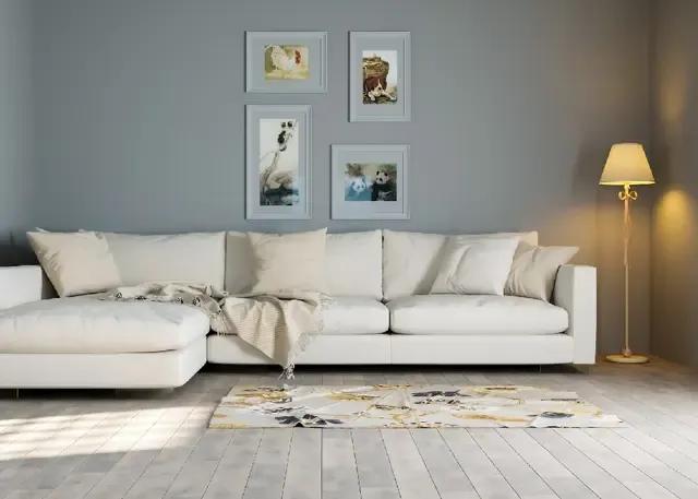 Berger Rangoli Total Care Paint 2