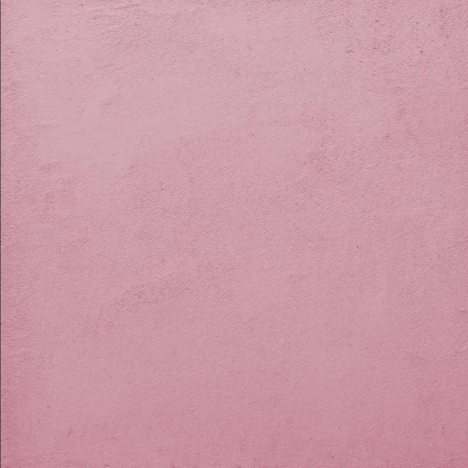 Vasari Stucco Wall Plaster 3