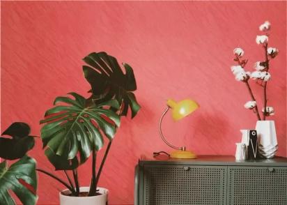 Berger Silk GlamArt Stucco Texture Paint by Berger for Bathroom, Interior, Kitchen, Living Room, Bedroom, Kids Room 6 2