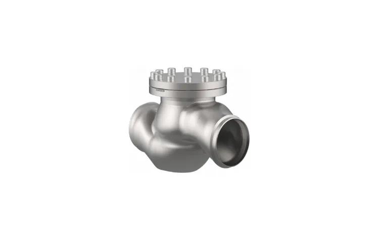 Cryogas Equipment Check Valves 2