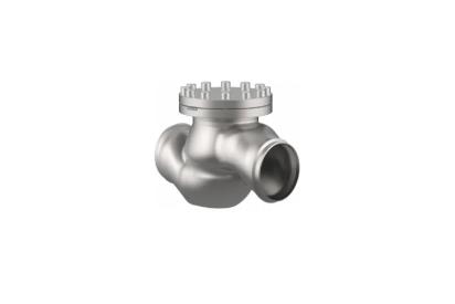 Cryogas Equipment Check Valves by Cryogas Equipment : Colours available: Silver 3 2