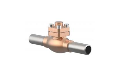 Cryogas Equipment Check Valves by Cryogas Equipment : Colours available: Silver