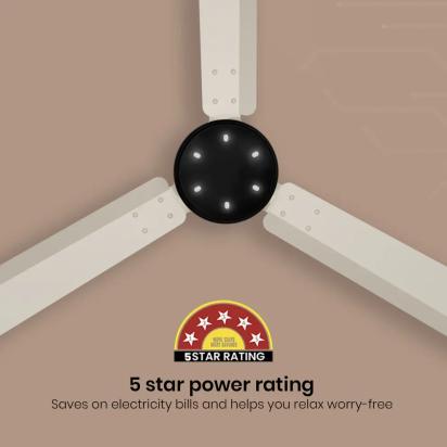 Crompton Energion NITEO BLDC Ceiling Fan - Ivory Black by Crompton : Colours available: Ivory 13 6