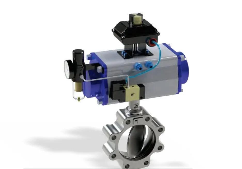 Freture Butterfly Valve 1