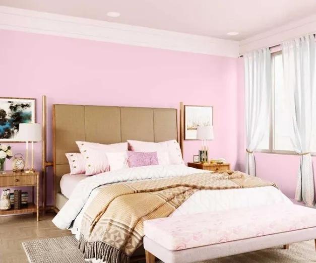 Asian Paints Apcolite Premium Emulsion 2
