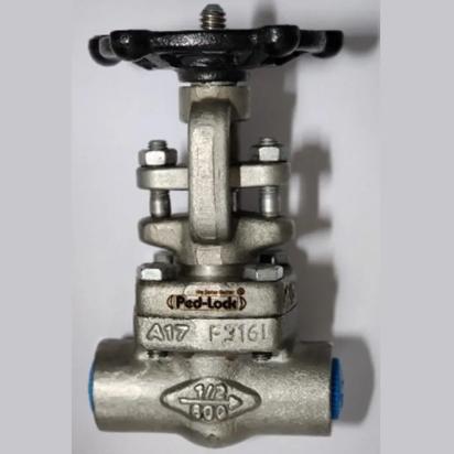 Payal Engineering Gate Valves by Payal Engineering : Colours available: Silver 3 3