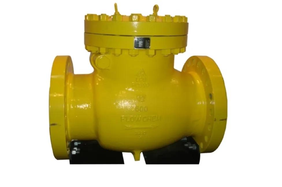 Flowchem Industries API 6D Check Valve