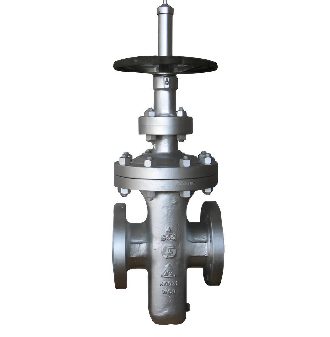 Flowchem Industries Cast Steel API 6D Gate Valve