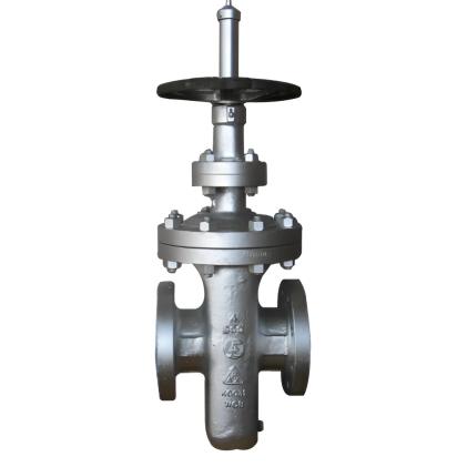 Flowchem Industries Cast Steel API 6D Gate Valve by Flowchem : Colours available: Chrome