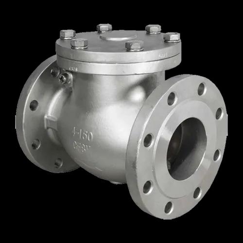 Ferrobend Check Valve