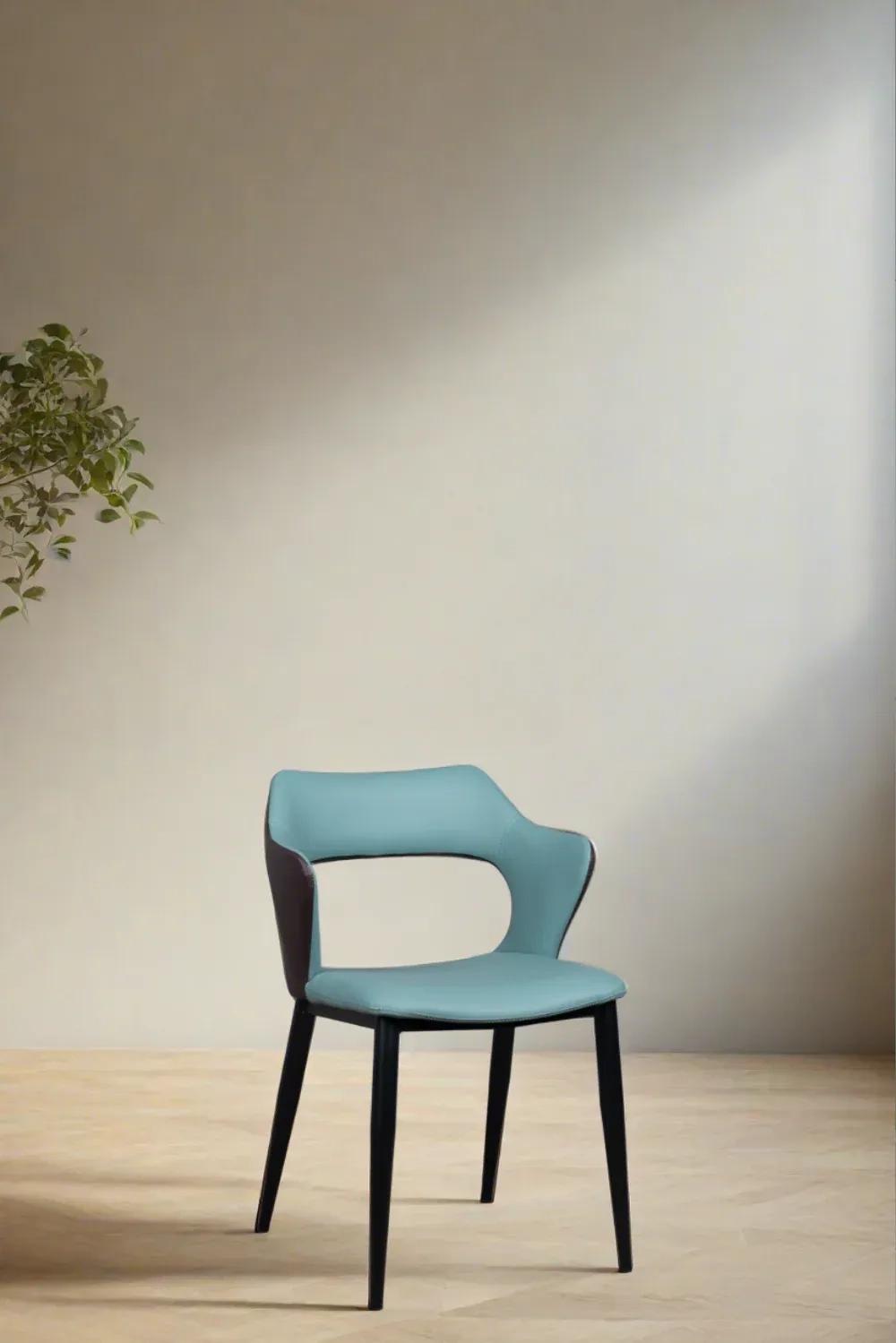 The Golden Triangle Shay Dining Chair
