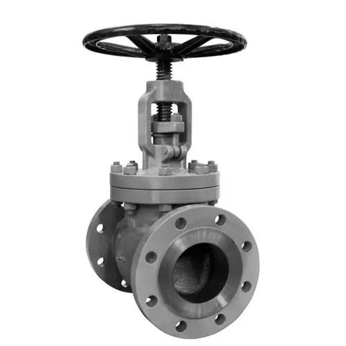 NRTS Gate Valve