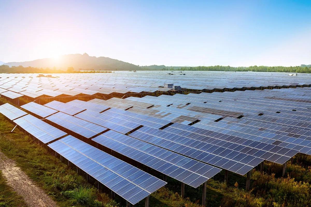 Msappl Solar Panel