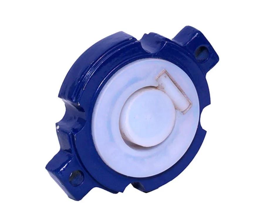 Horizon Polymer Lined Swing Check Valve