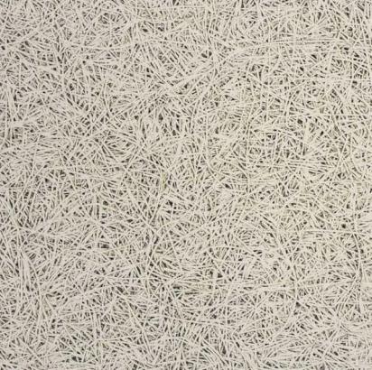 Nankarrow WoodWeave™ Premium 2' x 2' Wood Wool Acoustic Panels in Thickness 15 mm by Nankarrow : Colours available: Beige 1 2