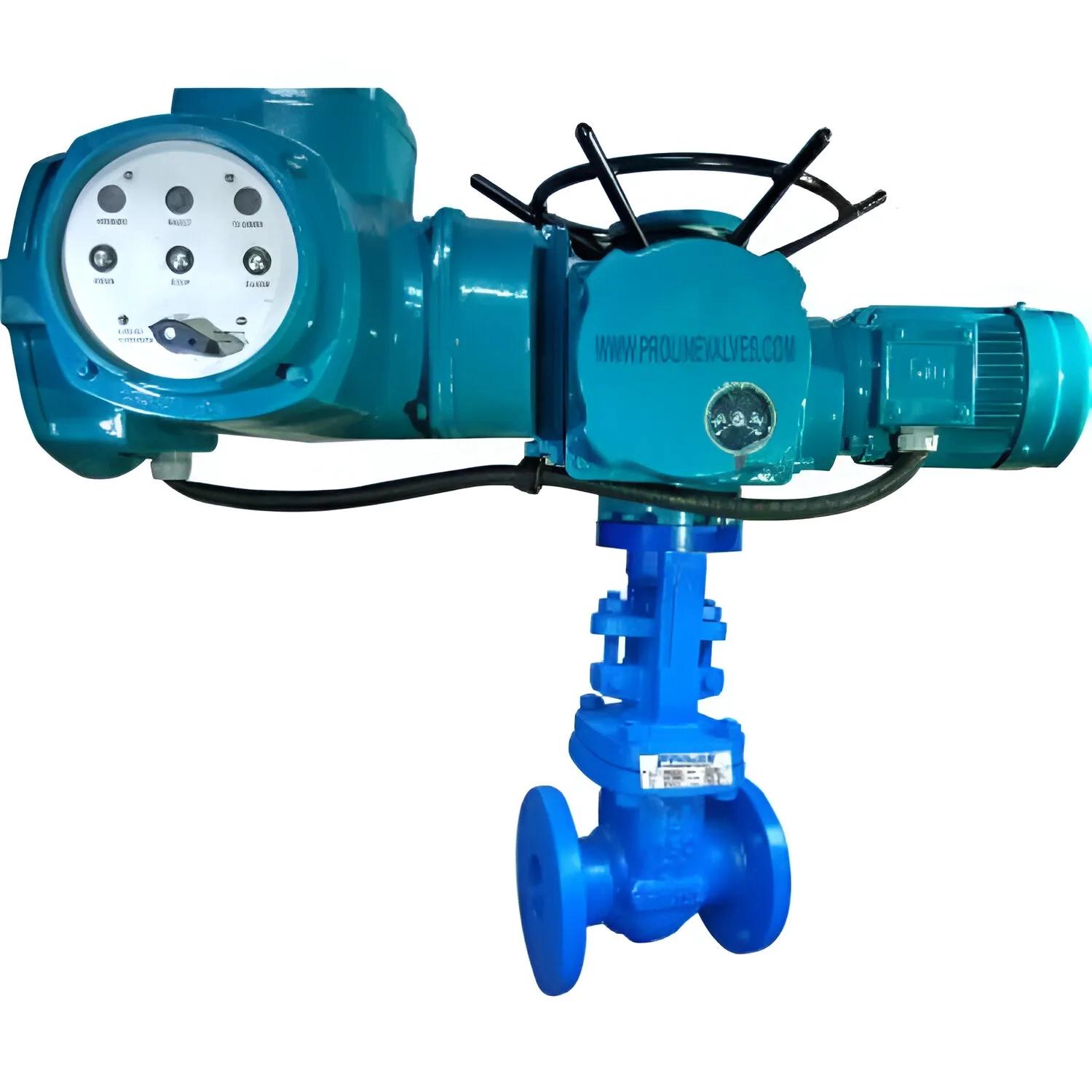 Proline Motorized Gate Valve