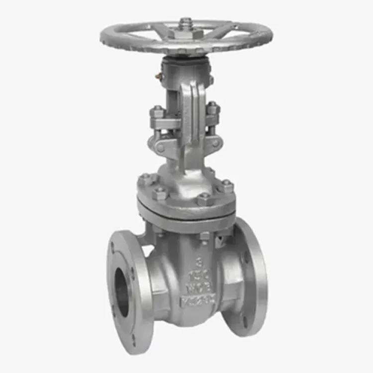 Payal Engineering Gate Valves 2