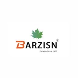 Barzisn Furniture official logo