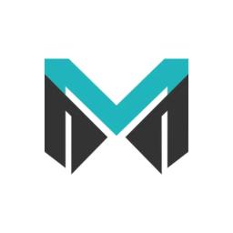 Mirrorwalla official logo