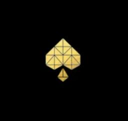 Spaceace Design Co's logo