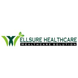 Wellsure Healthcare's logo