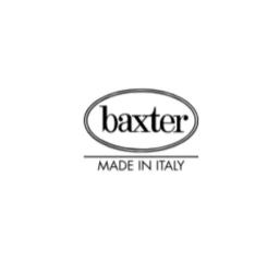 Baxter official logo