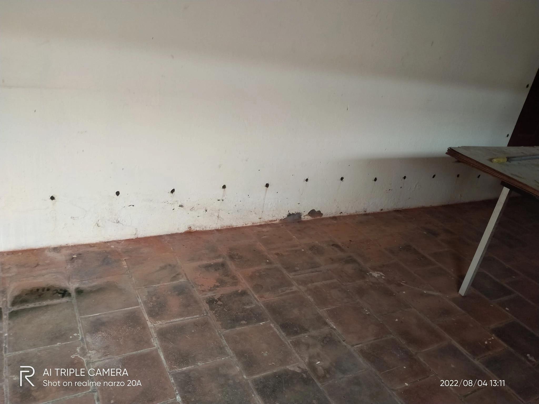 SD Pest Service
