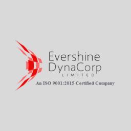 Evershine Dyna Corp official logo