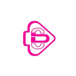 Data Care Systems official logo
