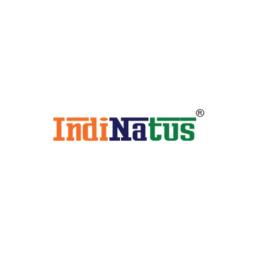 Indinatus official logo