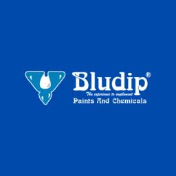 Bludip official logo