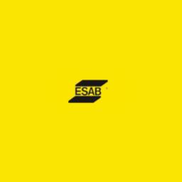 ESAB's logo