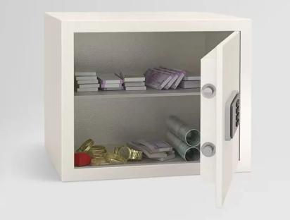 NX Pro 30 Litres Digital Home Locker by Interio by Godrej for Home 5 5