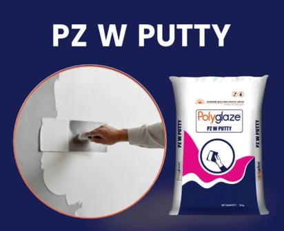 Evershine Build Polyglaze PZ W Putty by Evershine Build 1 1
