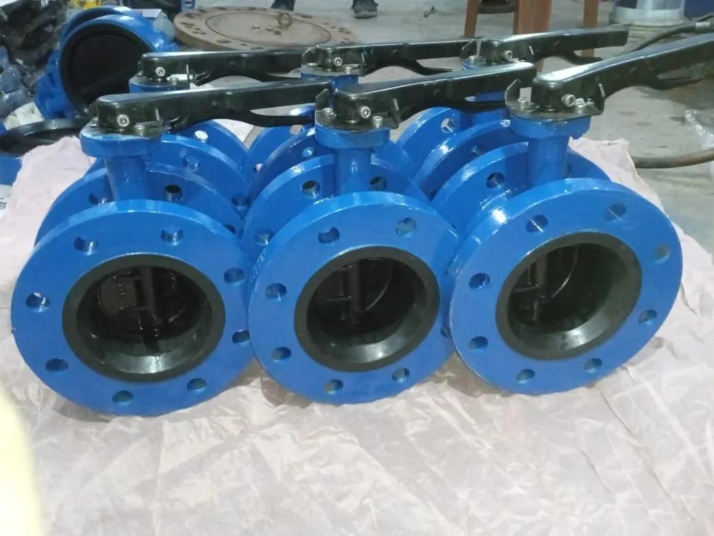 Srk Flanged Butterfly Valves