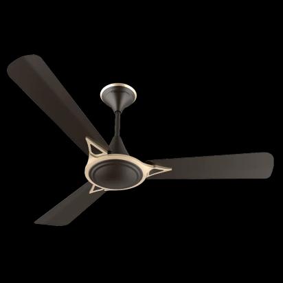 Crompton Premion Avancer Prime 1 Star by Crompton : Colours available: WoodyBrown