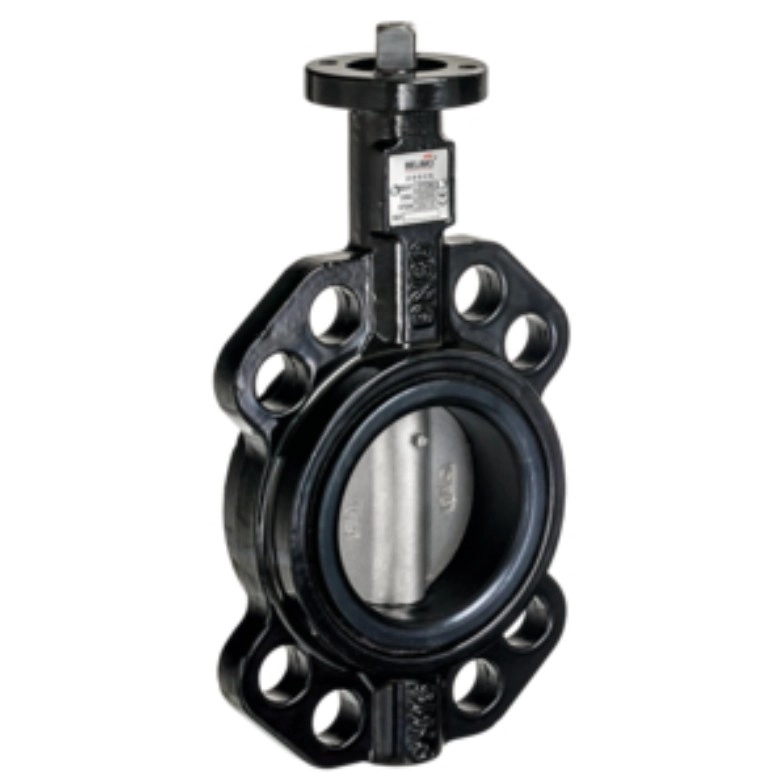 Belimo Butterfly Valve D6100N by Belimo : Colours available: Black
