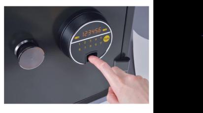 YFF-420-FG2 Biometric Safe Locker 60 Min Fire Resistance by Yale : Colours available: Black 1 2