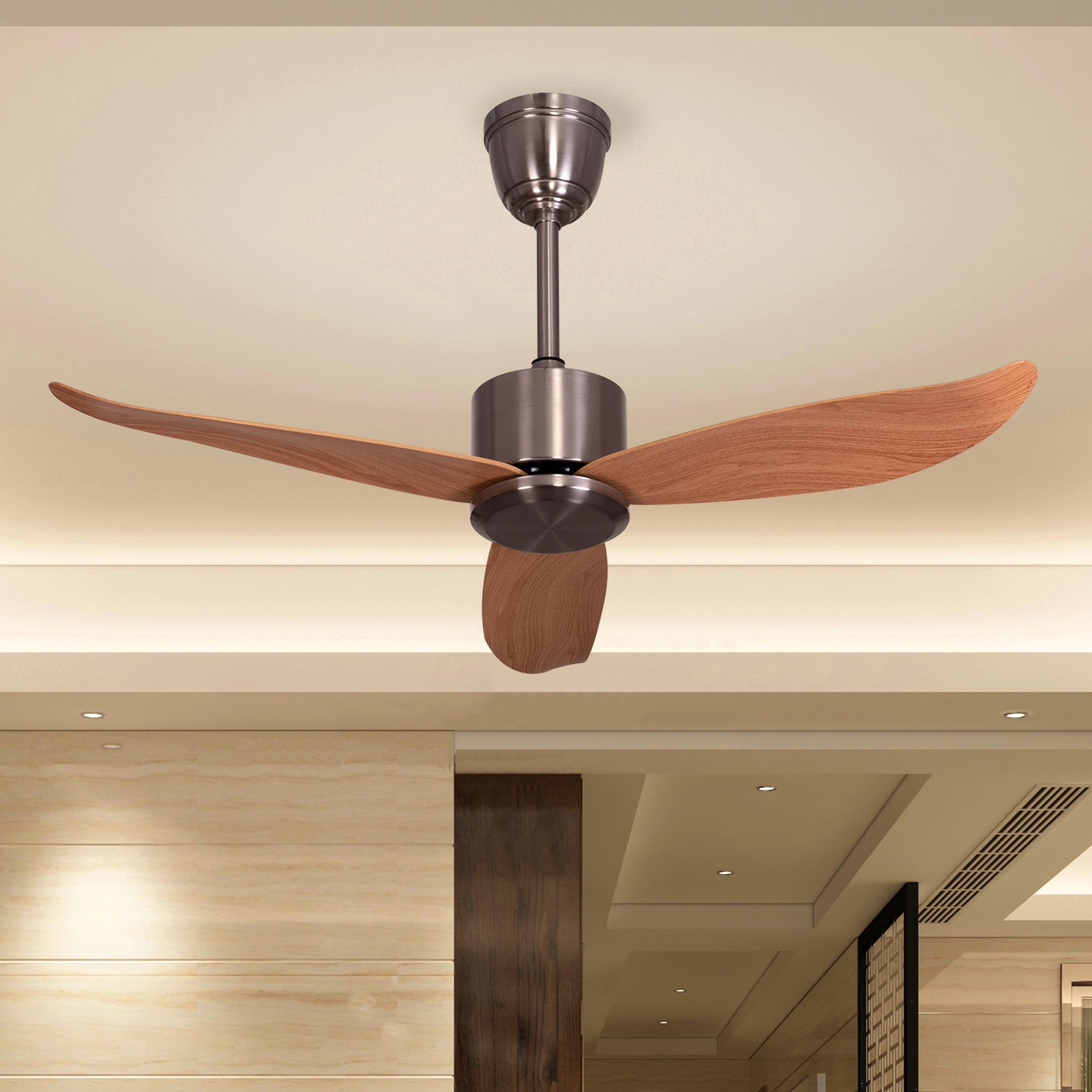 The WhiteTeak Turin (117 cm Span, Chrome Finish Metal Body, Maple Finish ABS Blades) Ceiling Fan