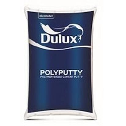 Dulux Polyputty by Dulux for Interior & Exterior